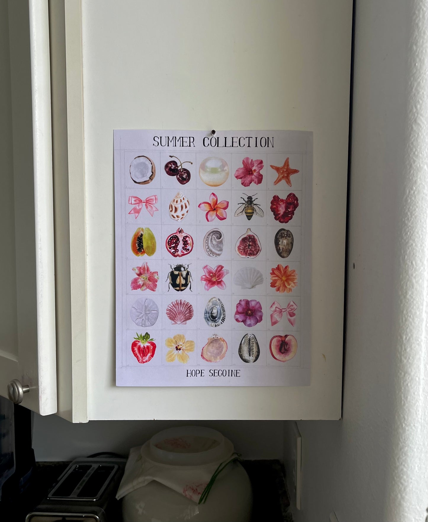 "Summer Collection"